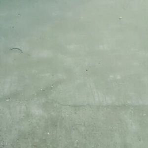 Meet your Posher, Endora